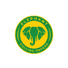ELEPHANT CONES