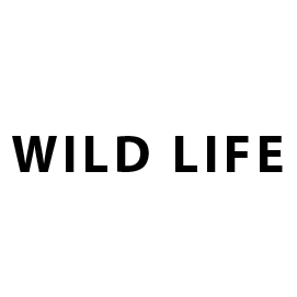 WILD LIFE (Cbd)